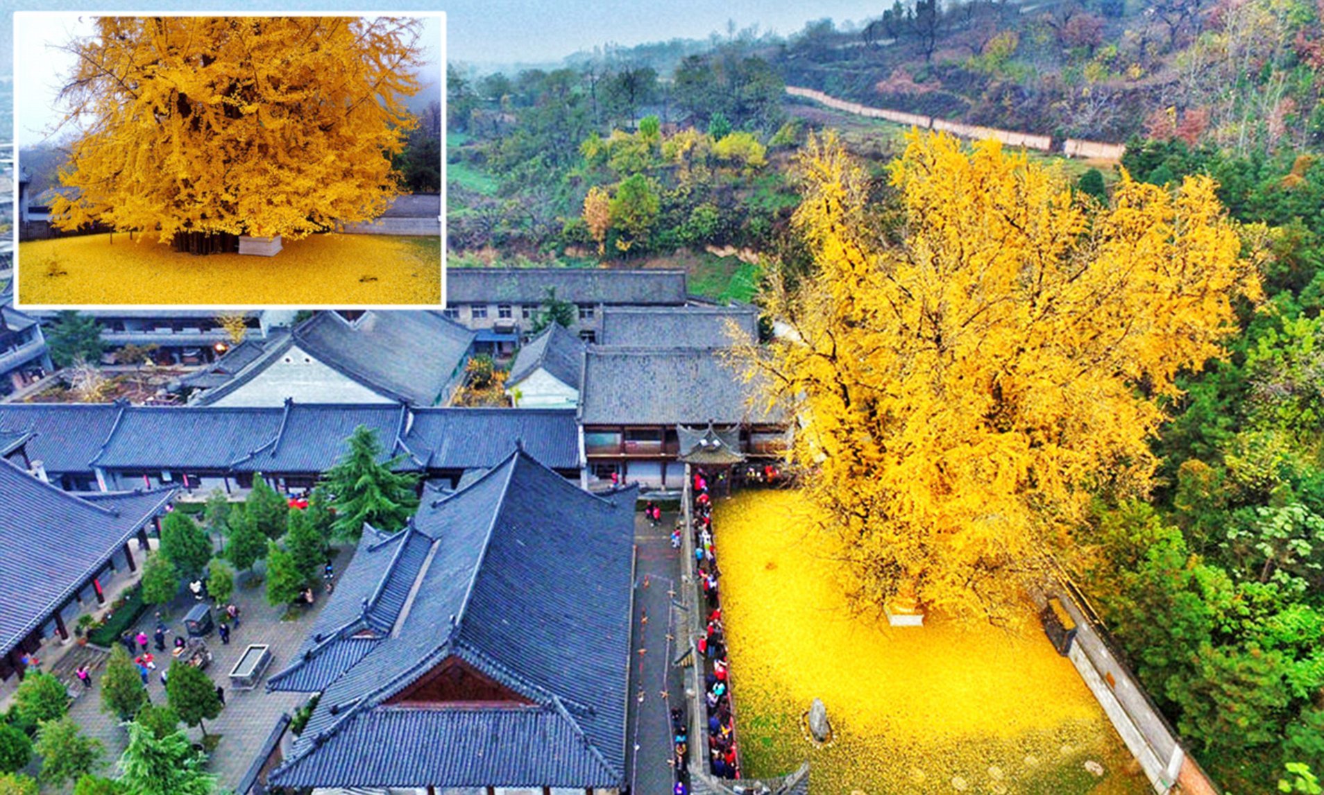 ⛩️ 마가타 신사 (麻賀多神社) 이미지 4